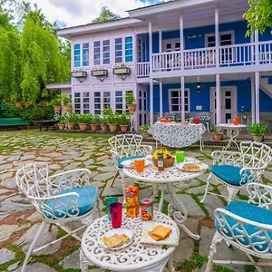 Stayvista At Violet Hill With Bonfire, Gazebo & Hill View Villa Shimla
